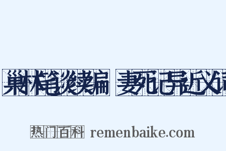 巢林笔谈续编·妻死记异近义词是什么意思的图片